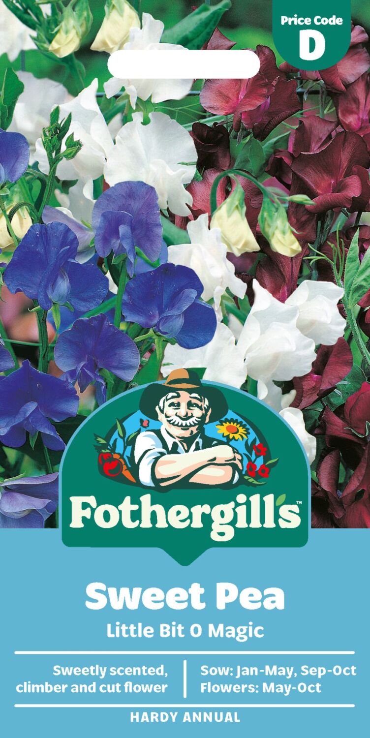 Sweet Pea Little Bit O Magic