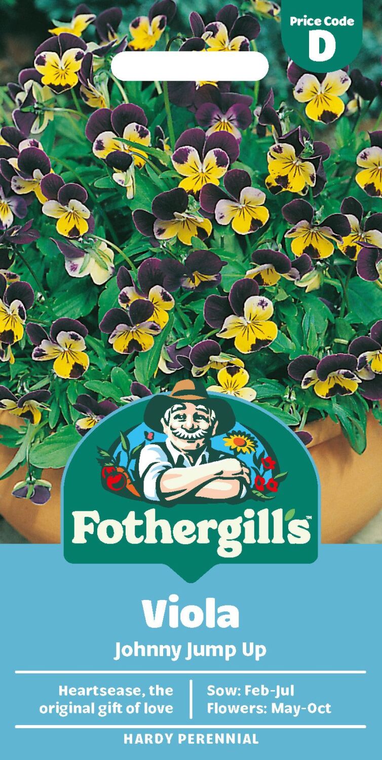 Viola  Johnny Jump Up