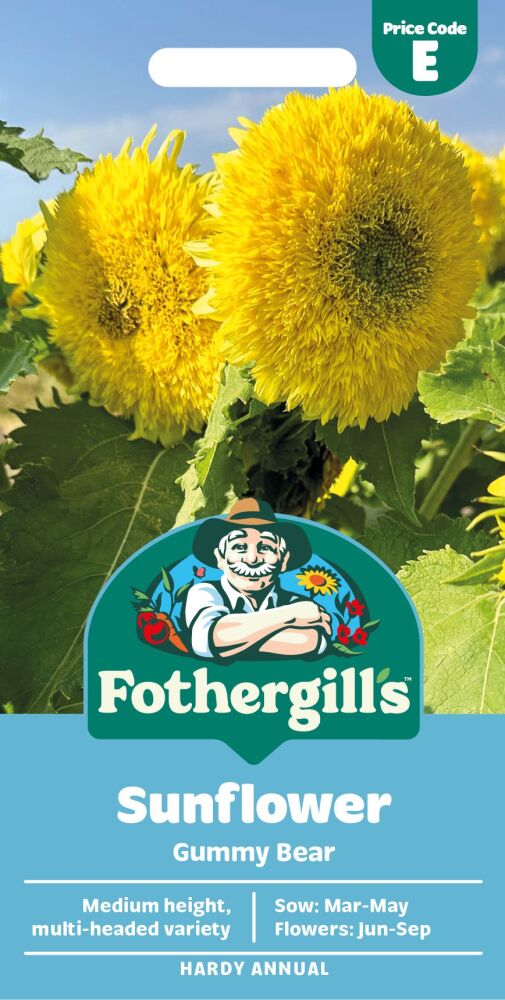 Sunflower Gummy Bear