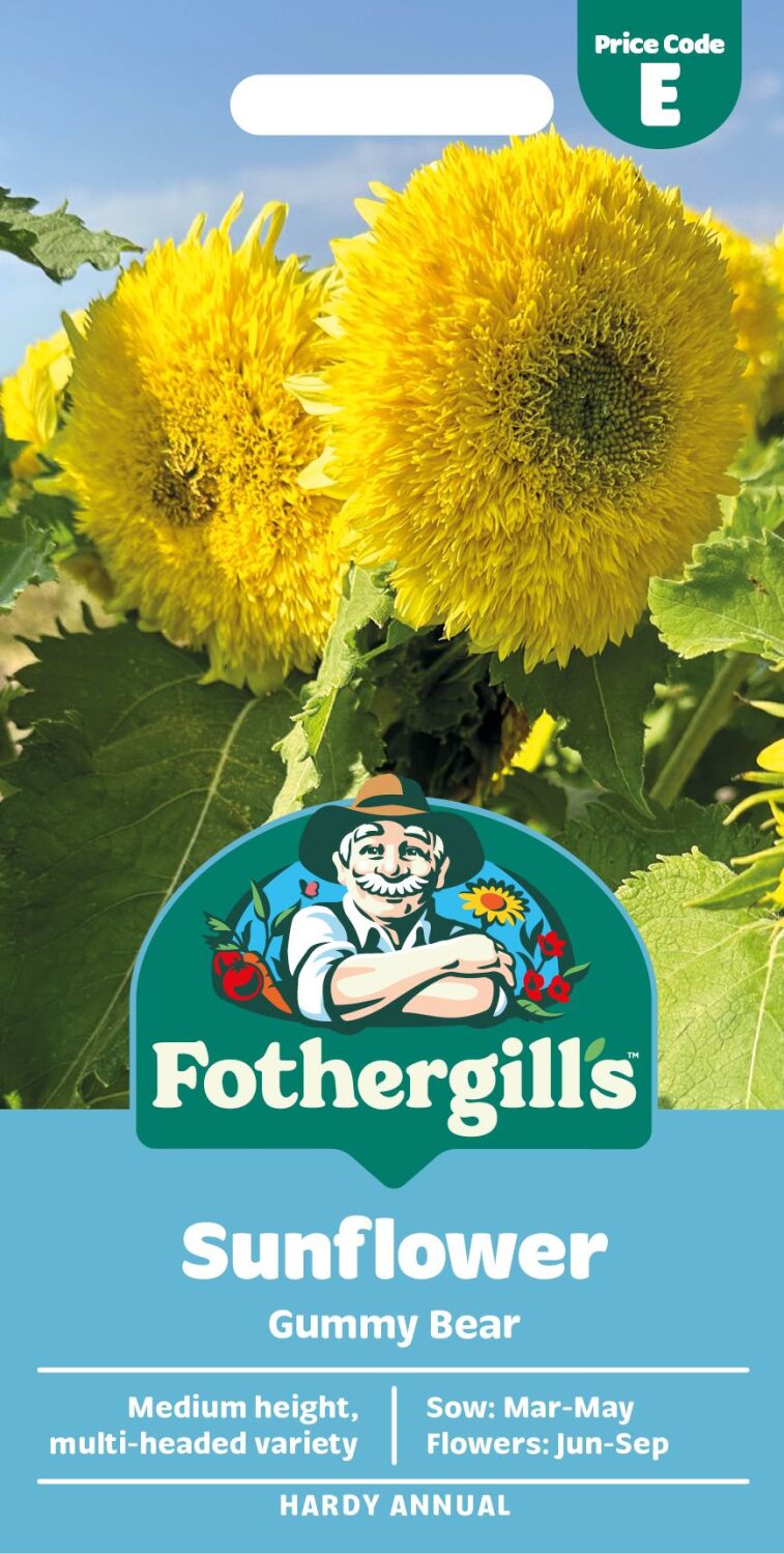 Sunflower Gummy Bear