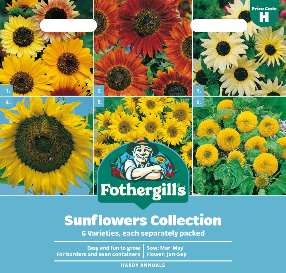 Sunflower Collection