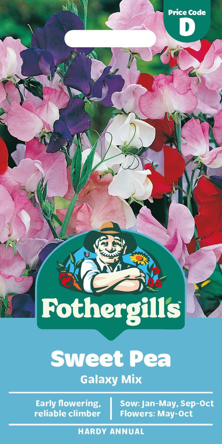Sweet Pea  Cherry Ripple