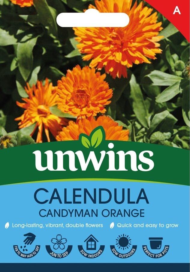 Calendula Candyman