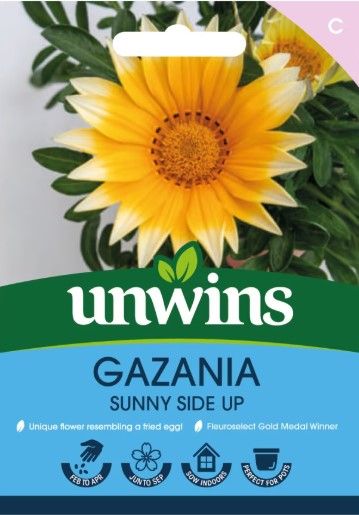 Gazania Sunnyside Up