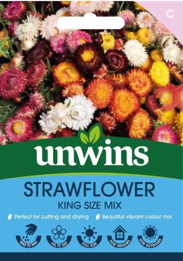 Helichrysum Straw Flower King Size Mix