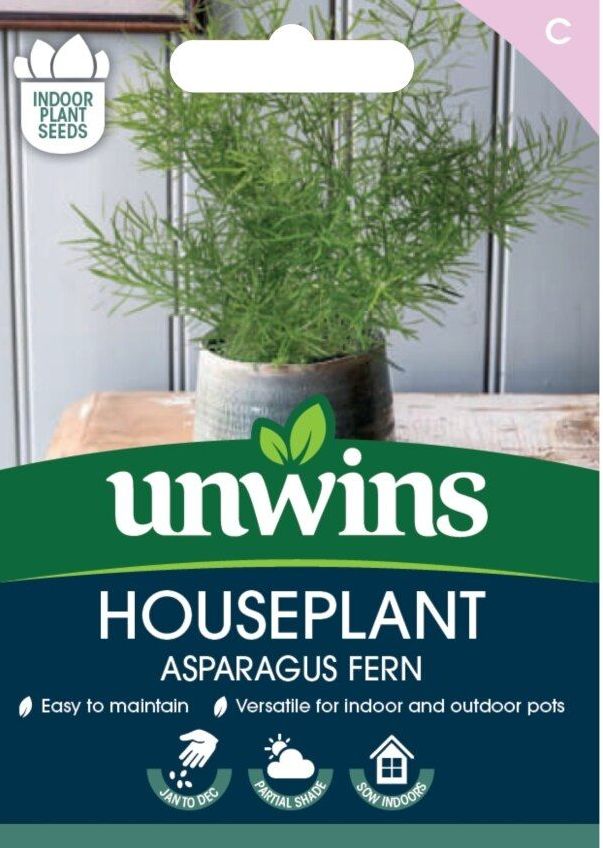 Houseplant Asparagus