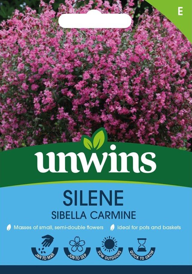 Silene Sibelle