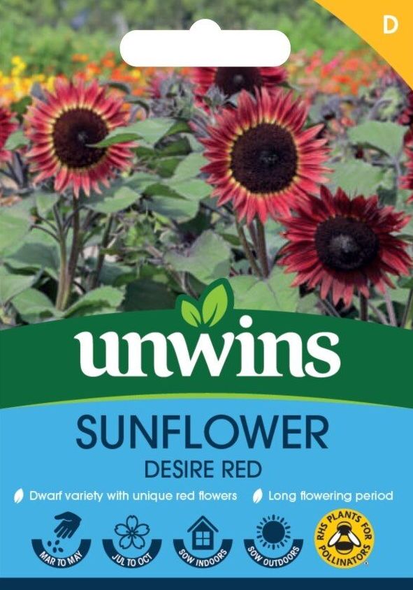 Sunflower Desire Red