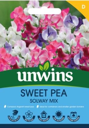 Sweet Pea Solway Mix