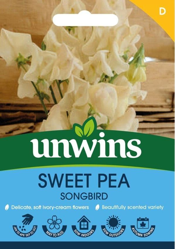 Sweet Pea Songbird