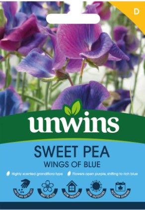 Sweet Pea Wings of Blue