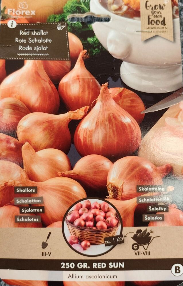 Shallots - Red Sun - 250g