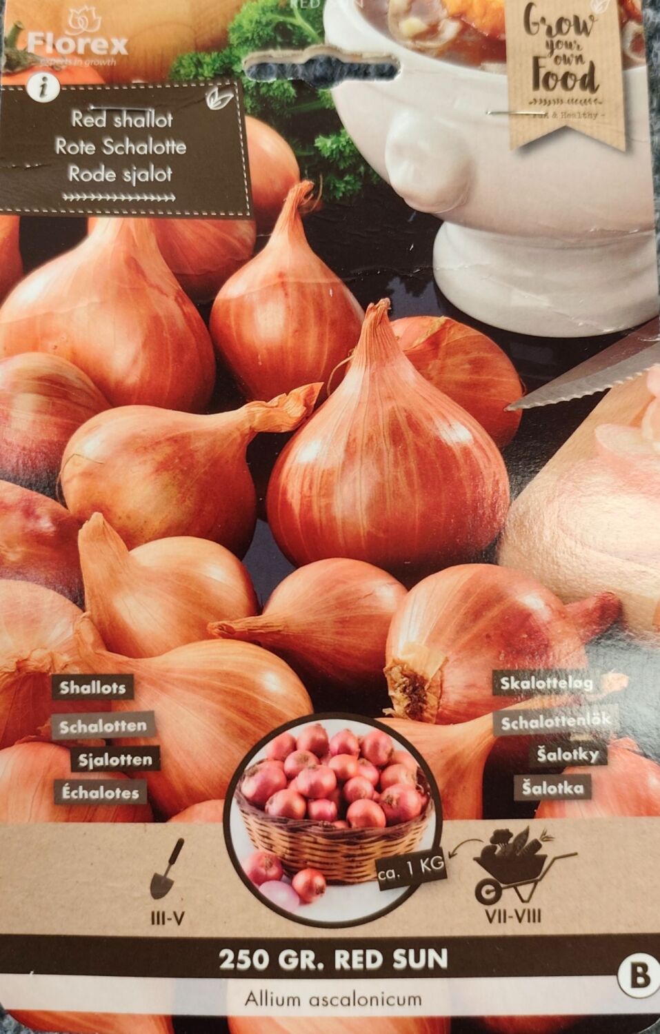 Shallots - Red Sun - 250g