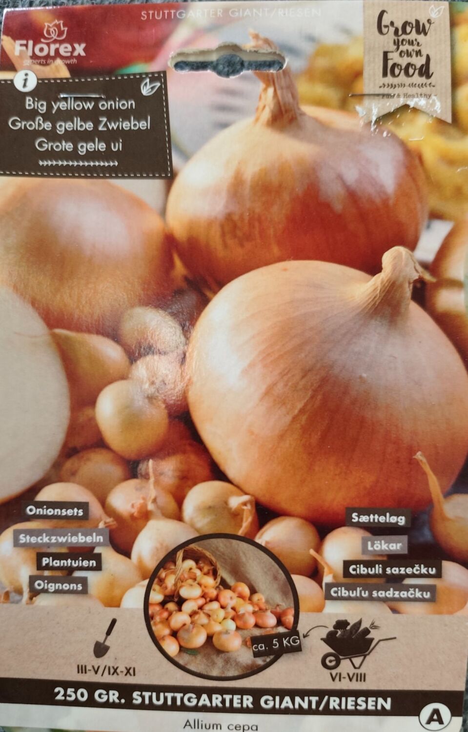 Onion Set - Stuttgarter Giant - 250g