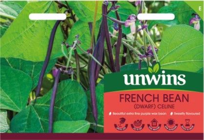 French Bean Celine