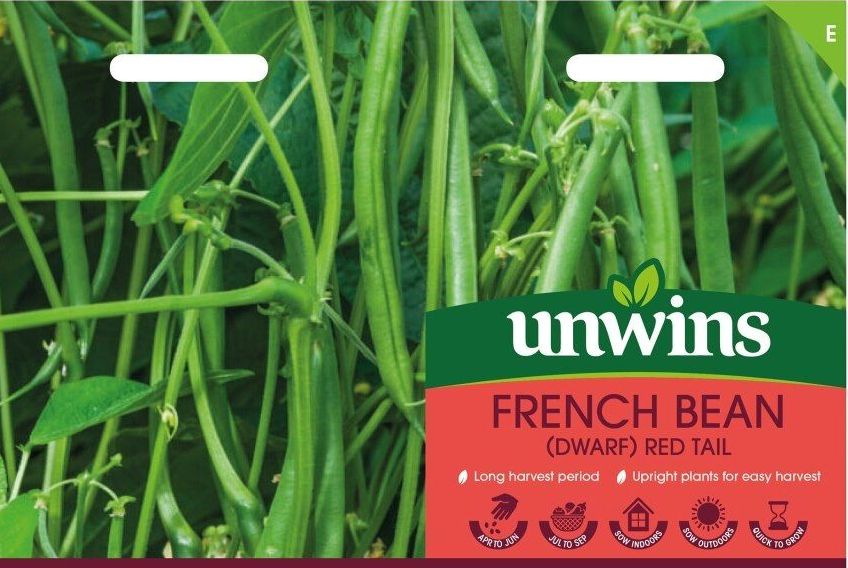 French Bean Red Tail