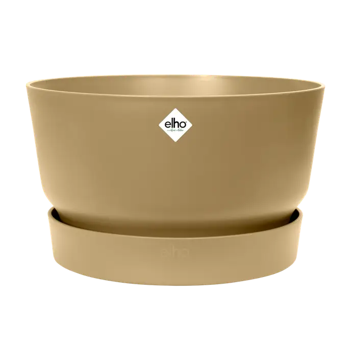 Greenville Bowl 33  Golden Sand