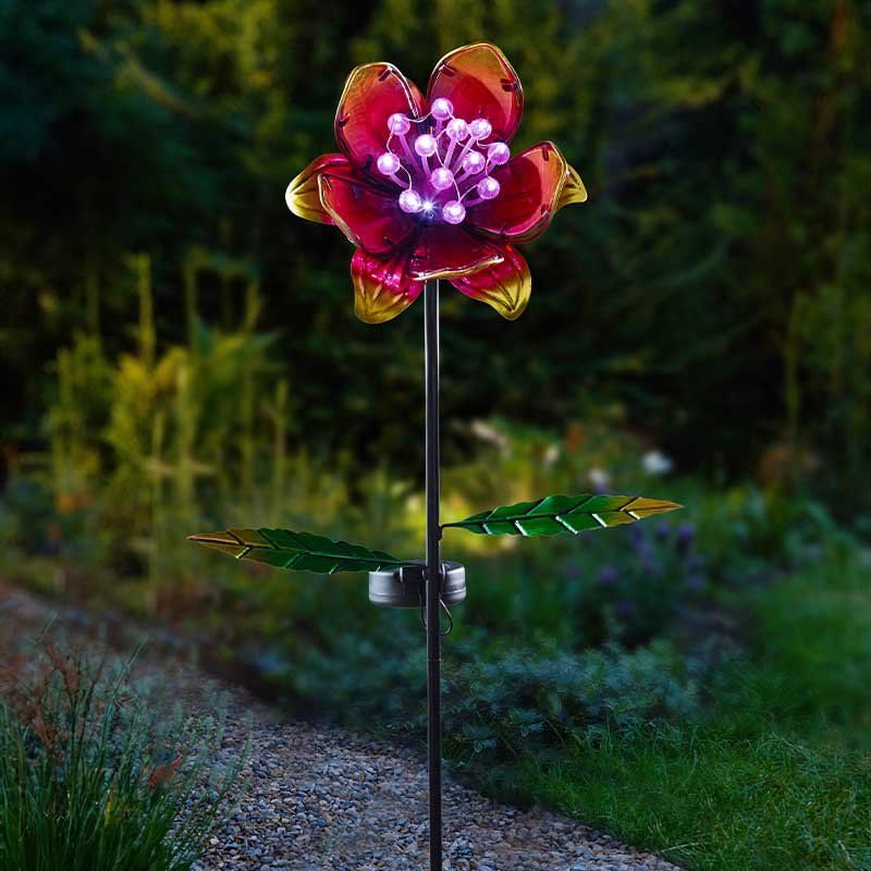 Solar Flower -GloBloom - Pink