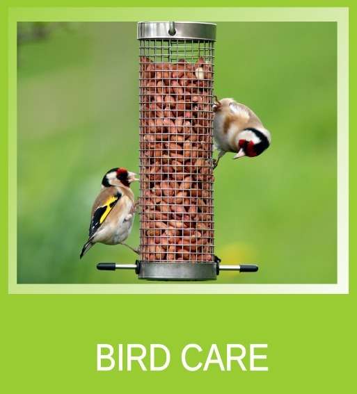 icons bird care icons bird care