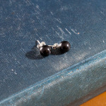 Swarovski Mystic Black Crystal Pearl Earrings