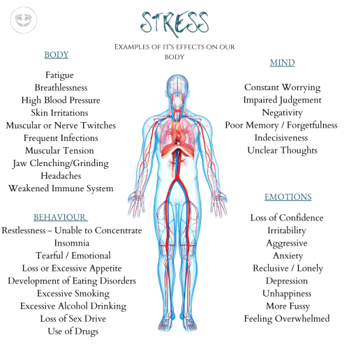 STRESS (2)