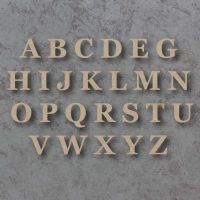 Georgia Bold Font Single mdf Wooden Letters  **PRICE PER LETTER**