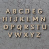 Sasson Infant Font Single mdf Wooden Letters  **PRICE PER LETTER**