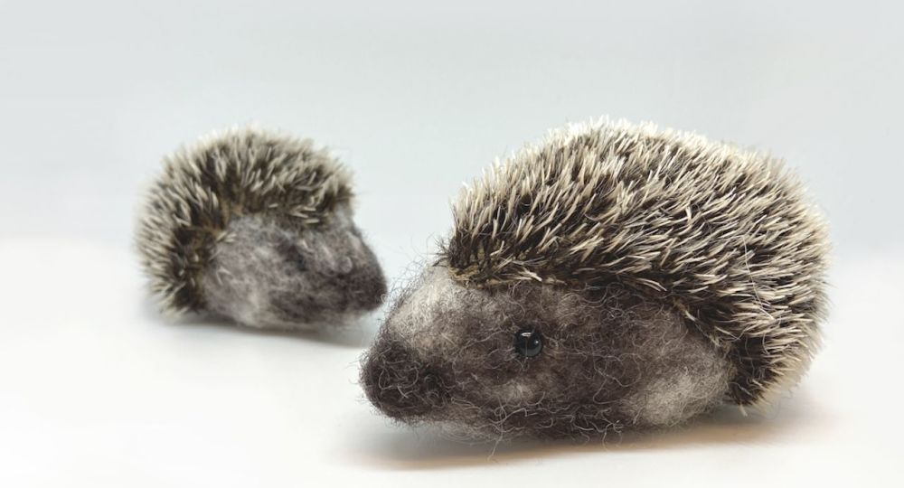 Needle Felting Workshop: Hedgehogs - Sunday 8th October 2023