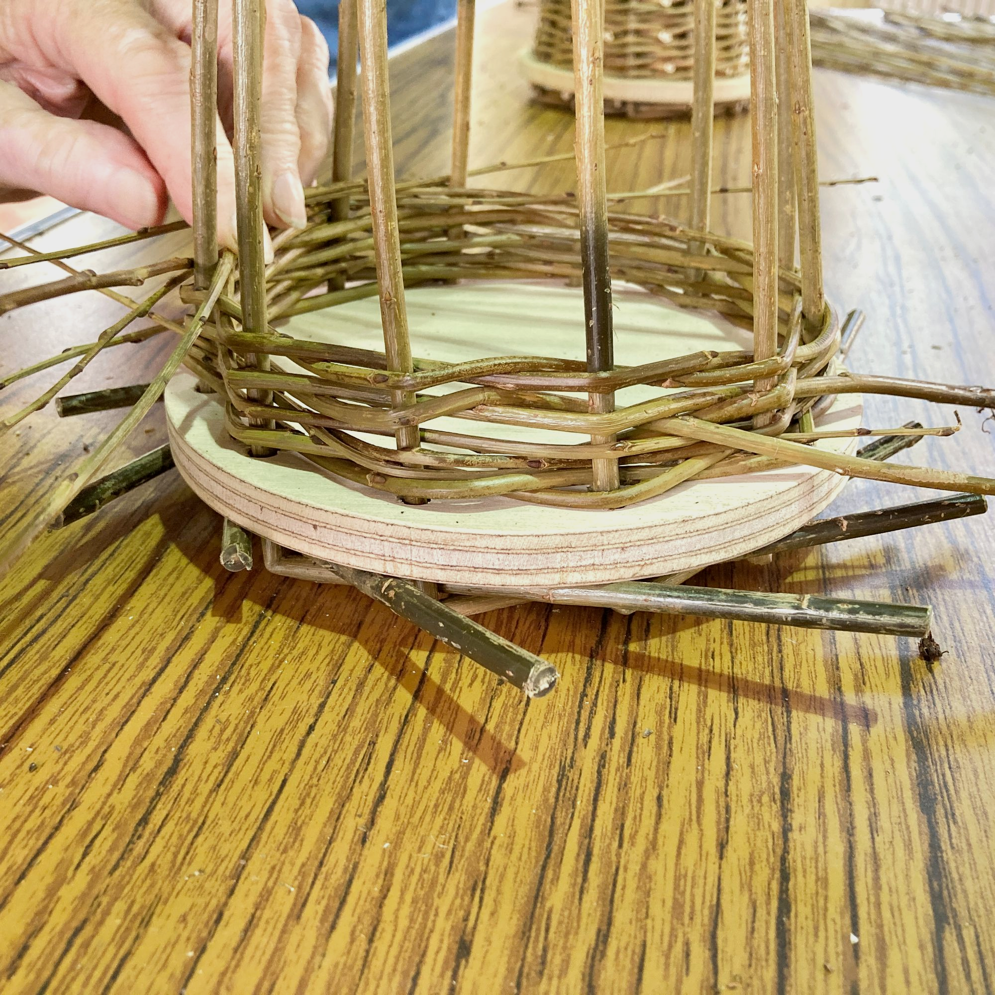 Willow Wigwam and Birdhouse Workshop - Birdhouse