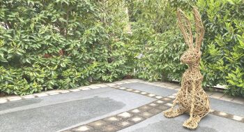  Willow Hare Sculpture Workshop - Sunday 28th September 2025