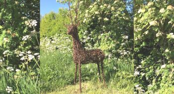 Willow Deer Sculpture Workshop - Sunday 14th December 2025