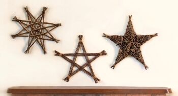  Willow Stars Workshop - Sunday 9th November 2025