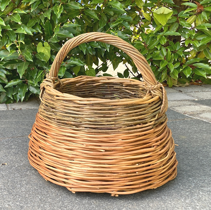 Willow Foraging Basket Workshop