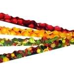 Healthy Eating Trimmers - Assorted - Pack of 4 x 12 x 1m Strips