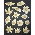 Wooden Templates - Leaves & Flowers - Assorted - Set of 14