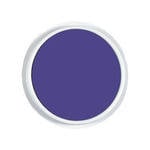 Sponge Paint Inking Pads - Purple - Each