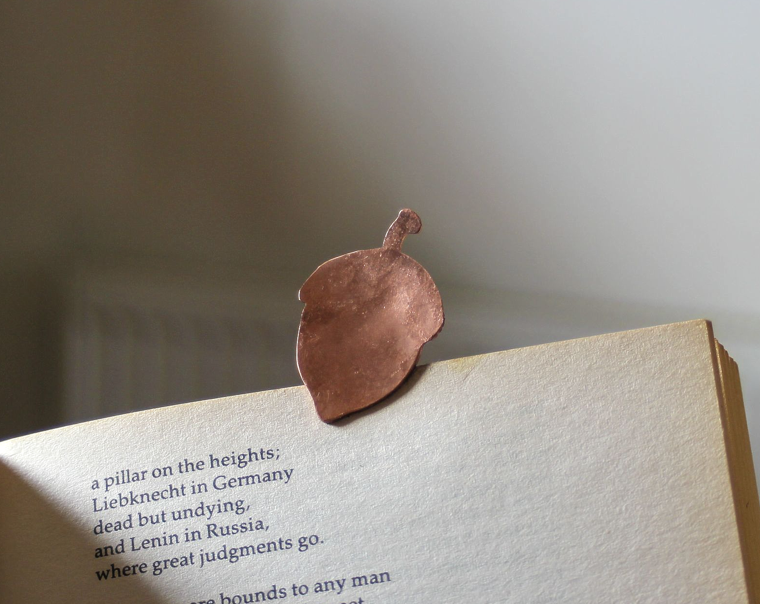 Acorn nut Bookmark_2015_KonstantinaPateraki