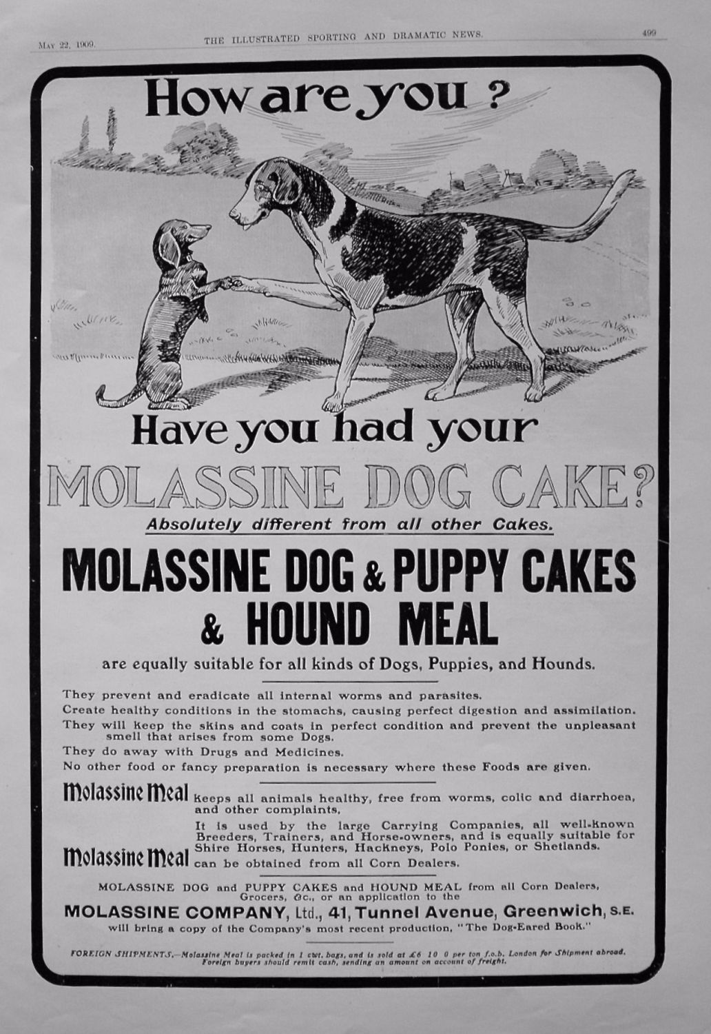 Molassine Dog & Puppy Cake & Hound Meal. 1909