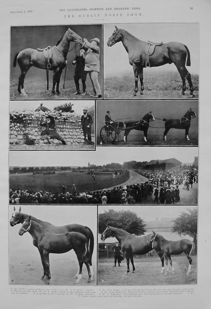 Dublin Horse Show. 1909