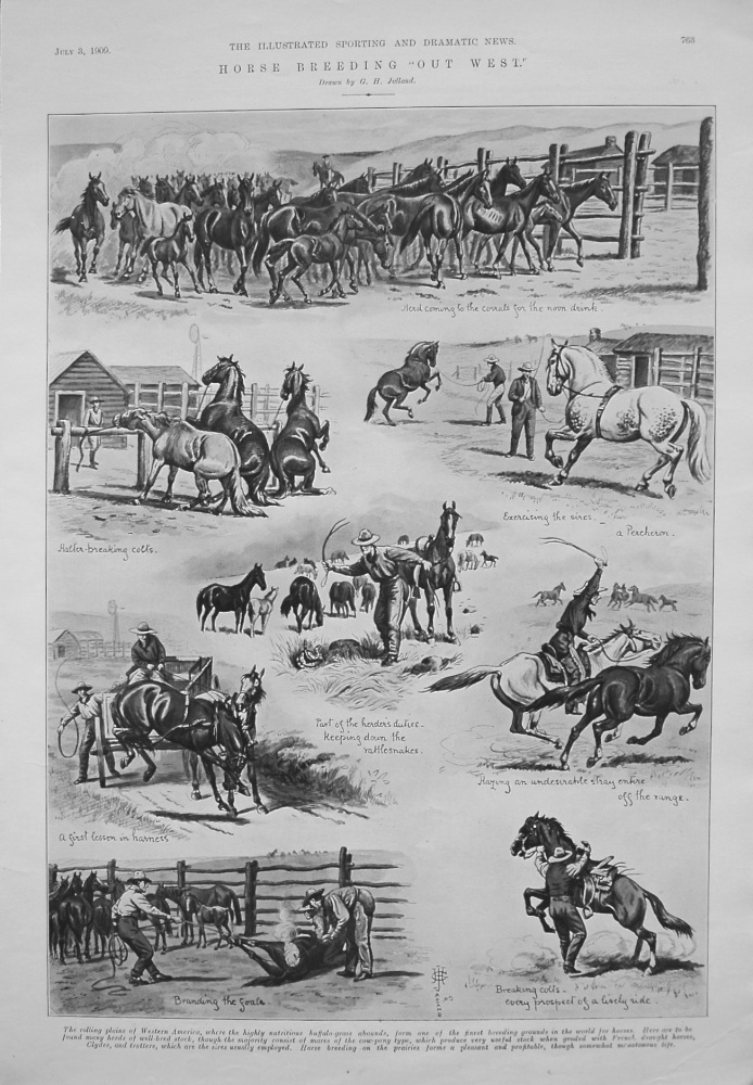 Horse Breeding "Out West." 1909