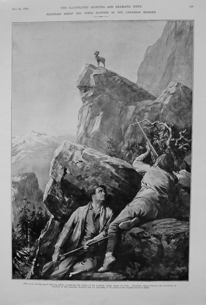Mountain Sheep (Big Horn) Hunting in the Canadian Rockies. 1909