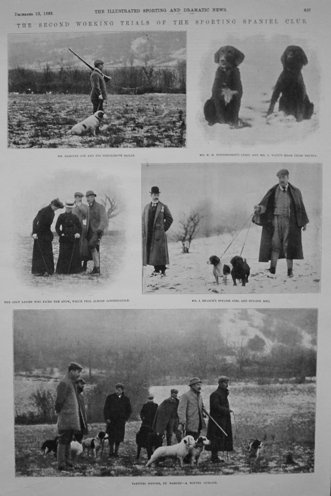 Second Working Trials of the Sporting Spaniel Club. 1899