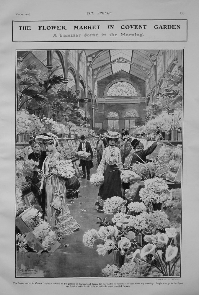 Flower Market in Covent Garden. 1905