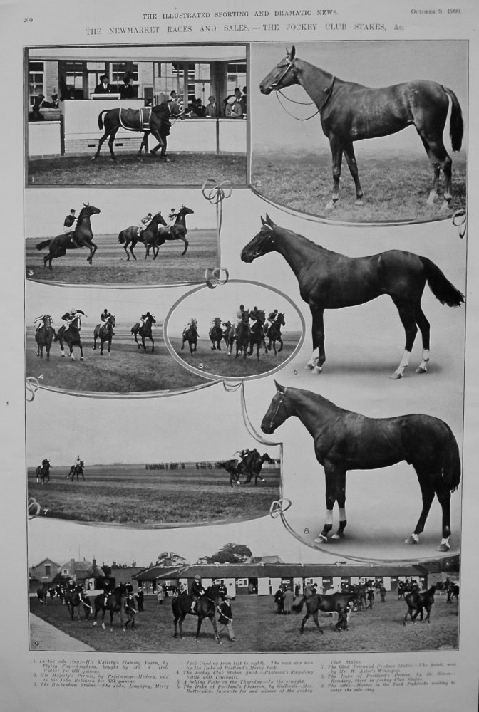 Newmarket Races and Sales. - The Jockey Club Stakes, &c. 1909