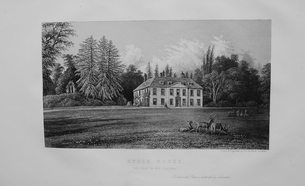 Stock House, in Dorsetshire. The Seat of Mrs. Yeatman. 