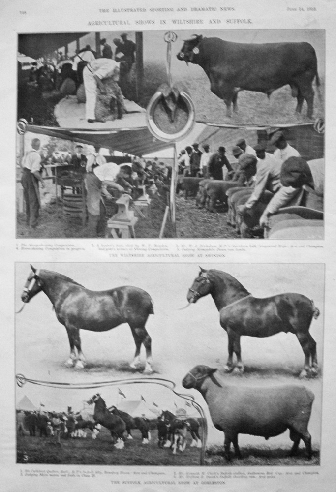 Agricultural Shows in Wiltshire and Suffolk. 1913.