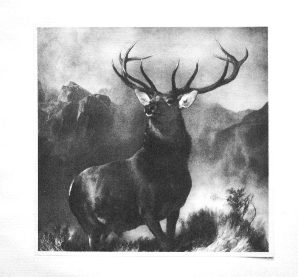 The "Monarch of the Glen."