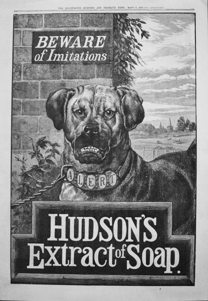 Hudson's Extract of Soup. 1885.