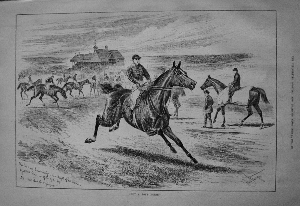 "Not A Boy's Horse." 1885