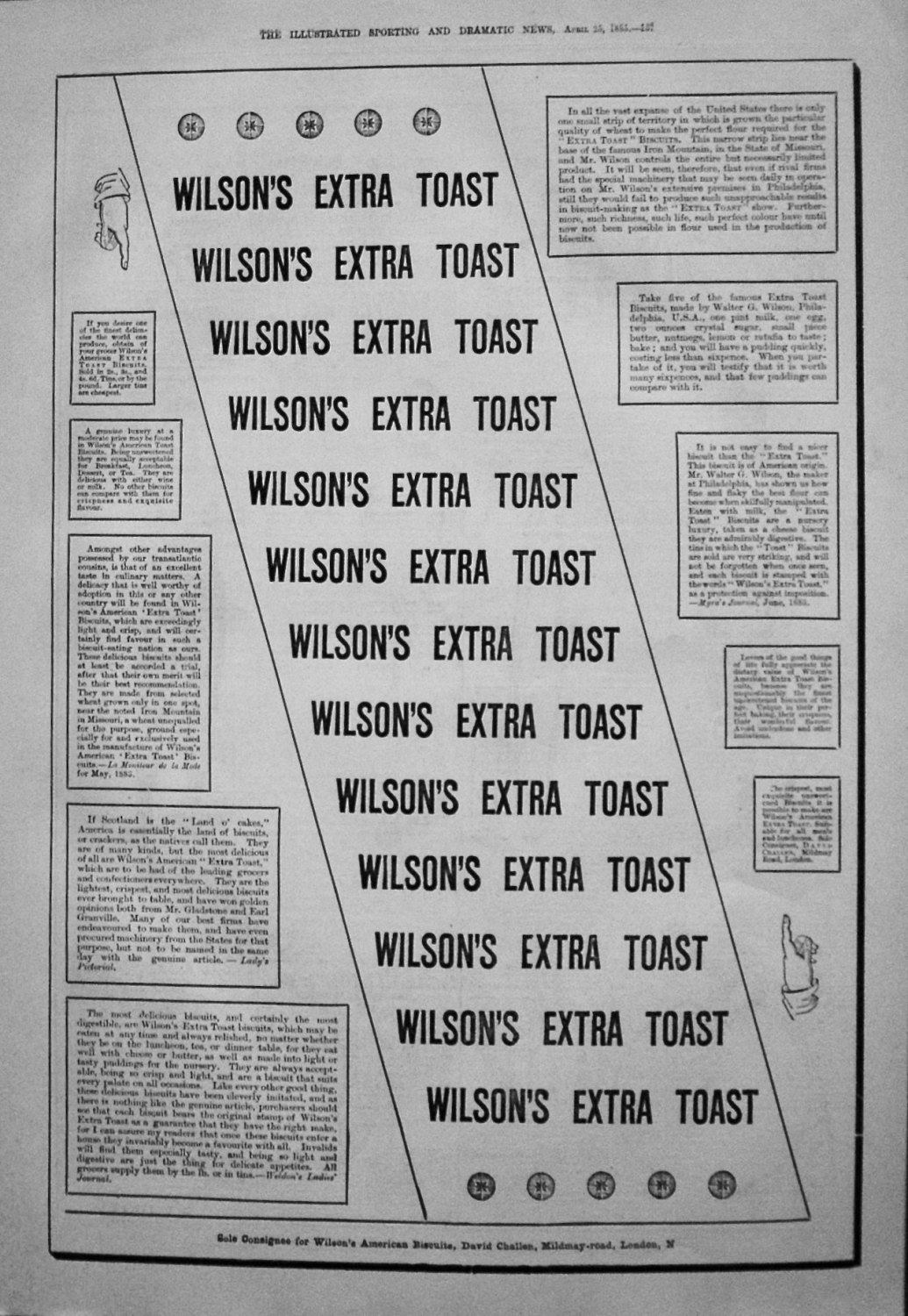 Wilson's American Extra Toast Biscuits. 1885